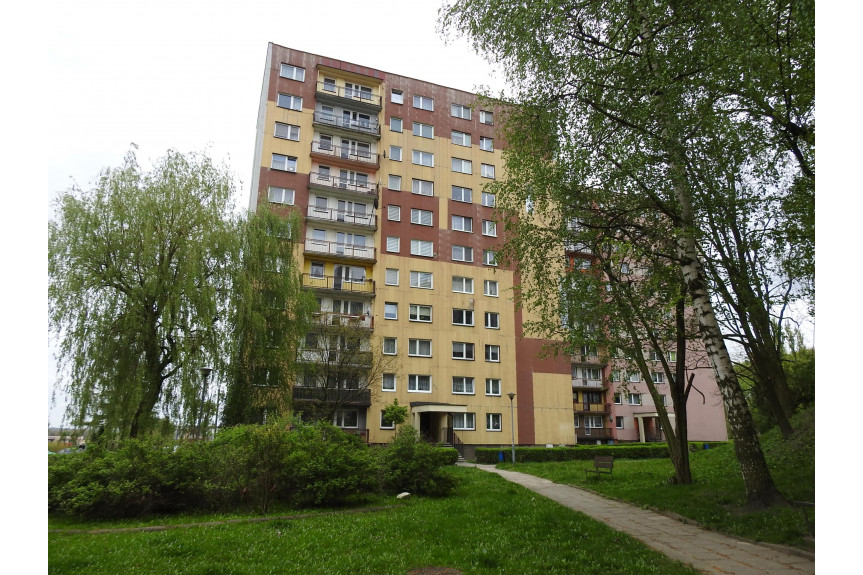 Piekary Śląskie, Os.Buczka, Jasna kawalerka - Os. Buczka